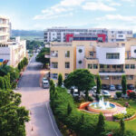 Chitkara University